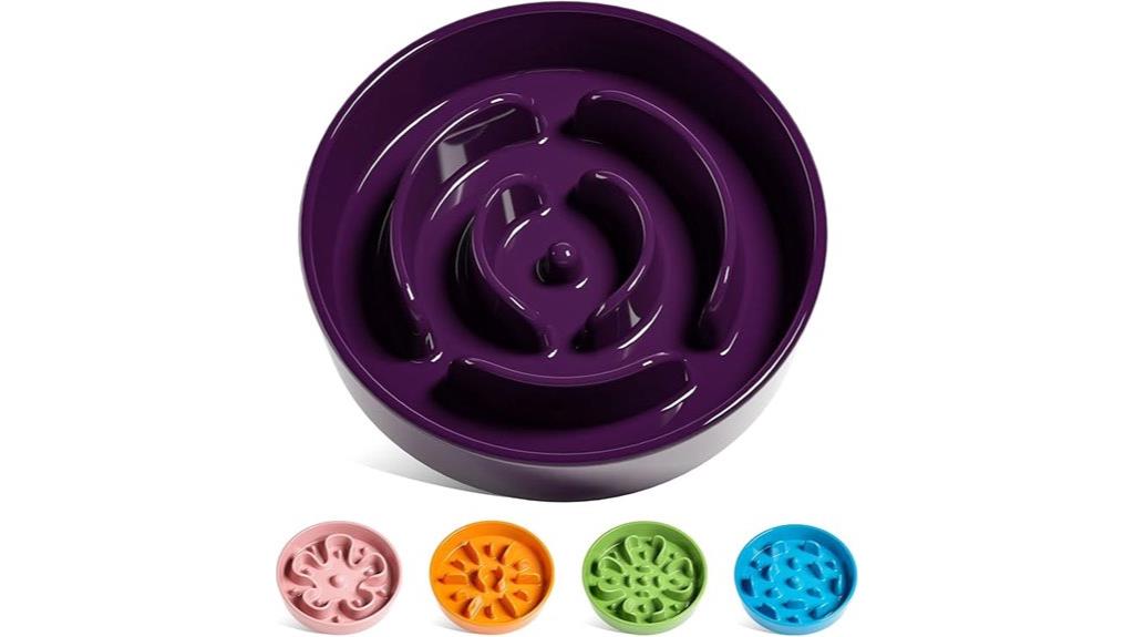 ceramic small breed bowl