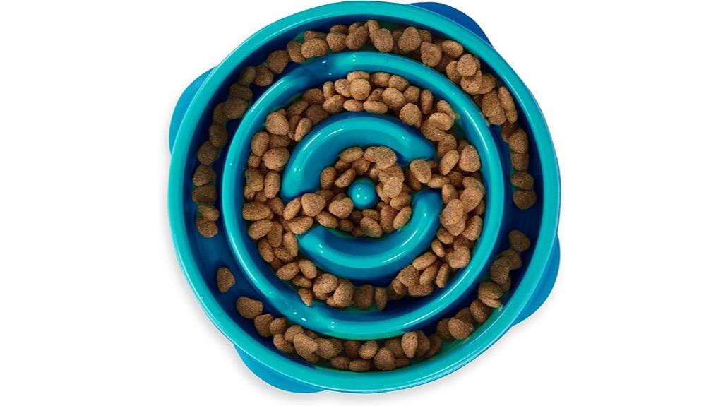 dog bowl with slow feeder