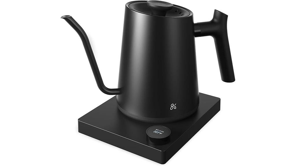 electric gooseneck kettle with precise temperature