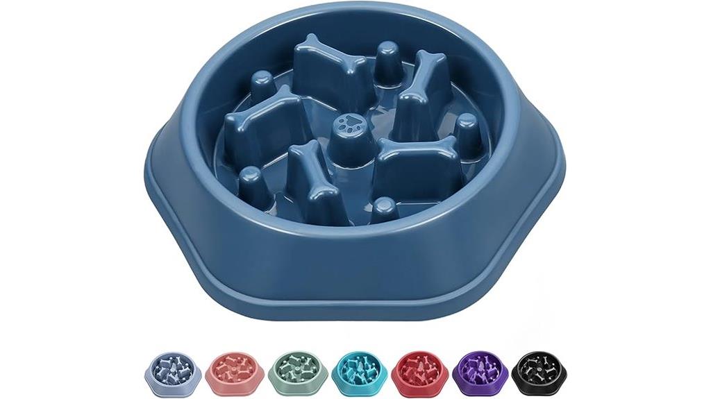 elevated slow dog bowl