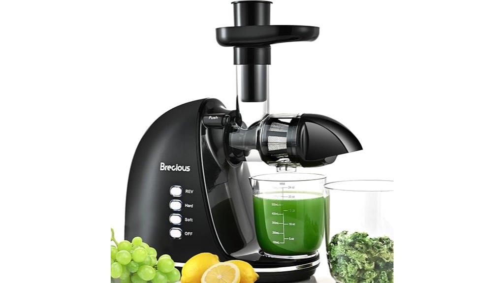quiet adjustable speed juicer