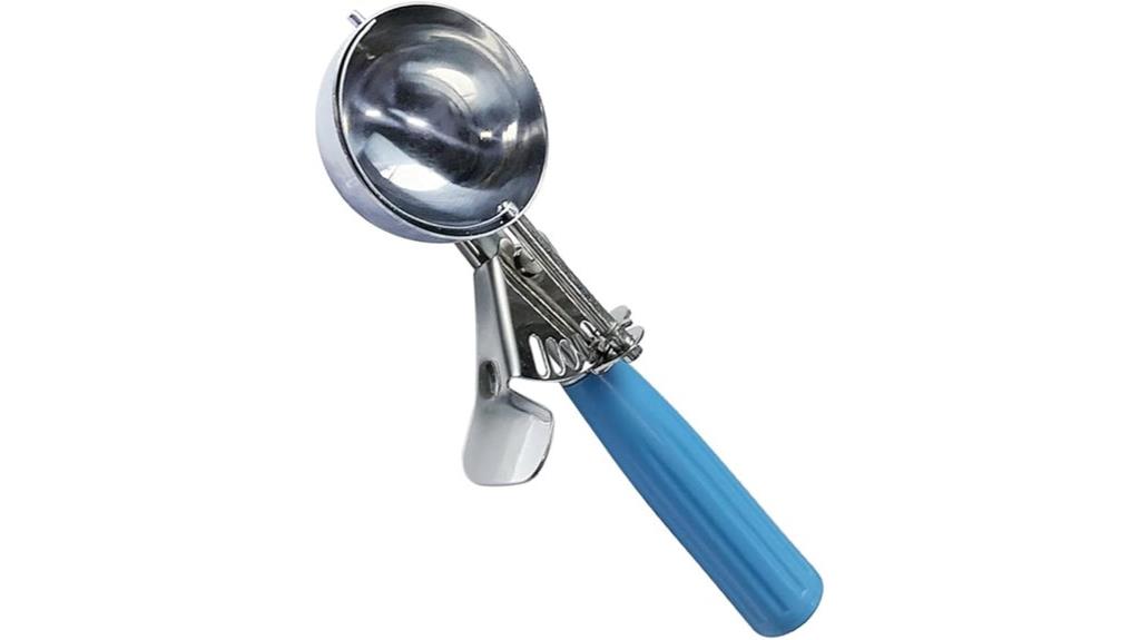 single stainless steel scoop