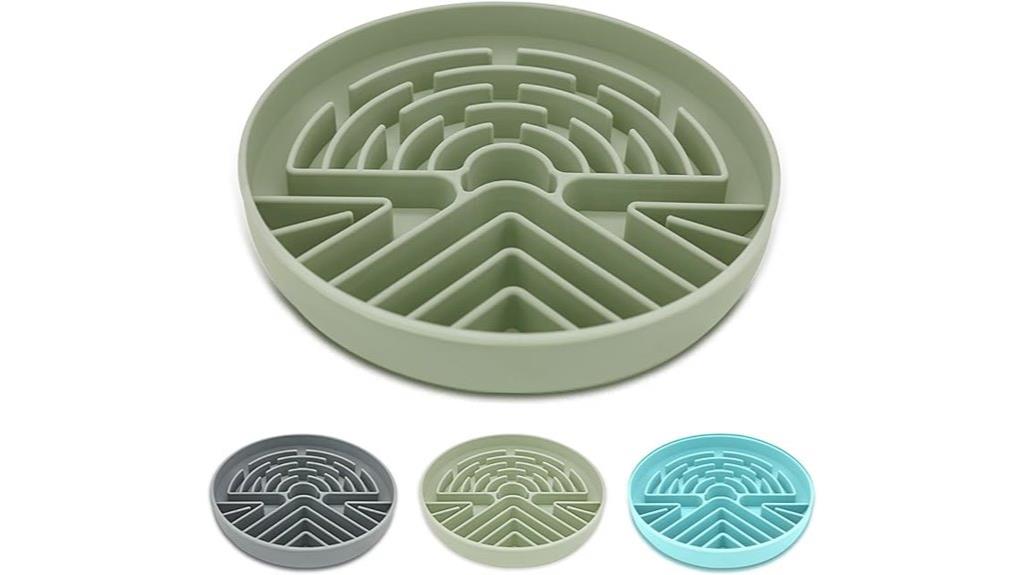 slow feeding pet bowl