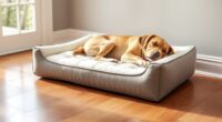top orthopedic dog beds