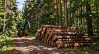 basics of logging practices