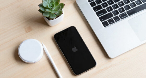 Apple Is Reaching for Chinese Memory. Europe Doesn’t Even Have That Option.