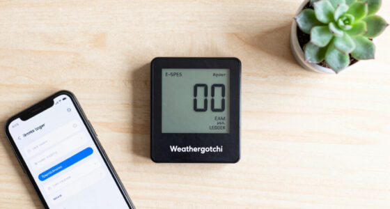 Weathergotchi – An E-Paper Climate Logger