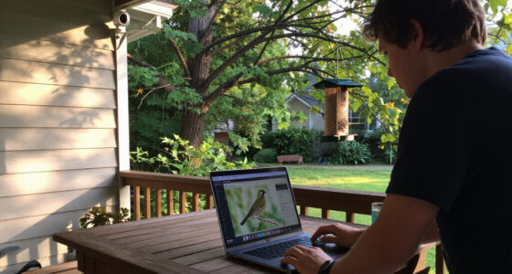 I Turned My Security Cameras Into An Automatic Bird Identification System
